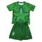 Conjunto Brasil Local Portero Mundial 2026 Niño Verde