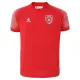 Camiseta Visitante Mundial 2026 Jordan