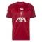 Camiseta Liverpool Pre-Match 2026/2027