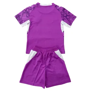 Conjunto PSV Eindhoven Portero 2026/2027 Niño Morado