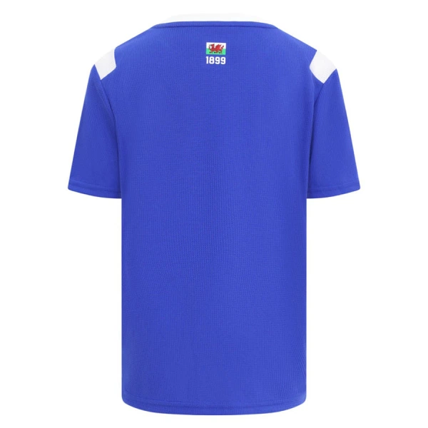 Camiseta Cardiff City Local 2026/2027