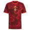 Camiseta Internacional Tercera Equipación 2026/2027