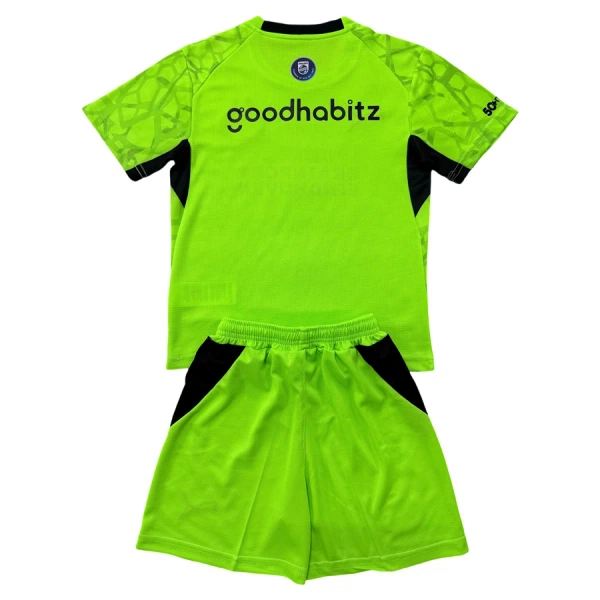 Conjunto PSV Eindhoven Portero 2026/2027 Niño Verde